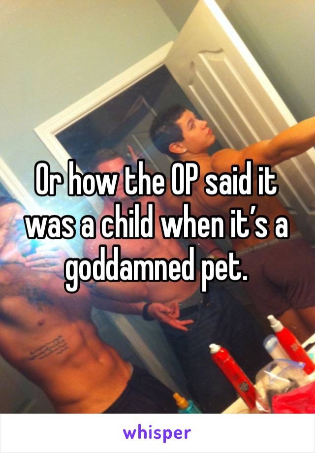 Or how the OP said it was a child when it’s a goddamned pet. 