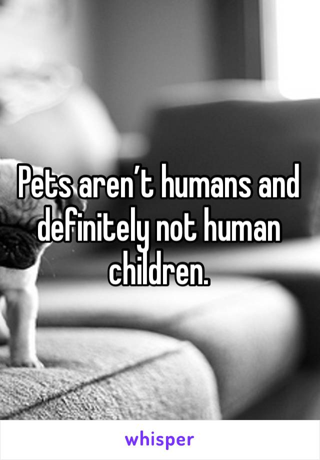 Pets aren’t humans and definitely not human children. 