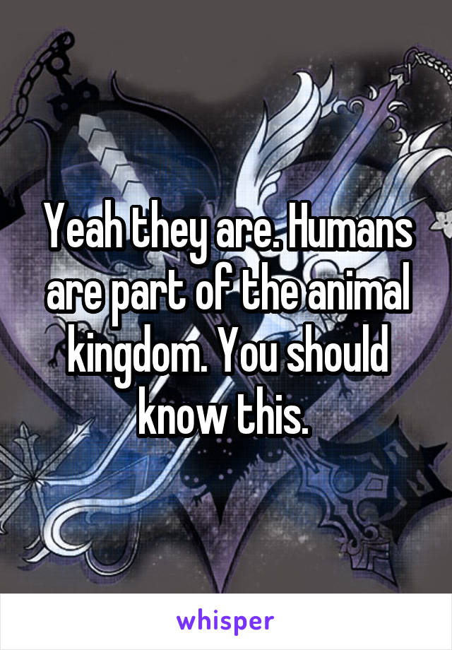 Yeah they are. Humans are part of the animal kingdom. You should know this. 