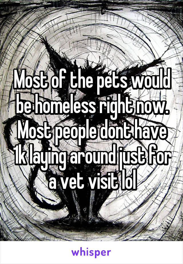 Most of the pets would be homeless right now. Most people dont have 1k laying around just for a vet visit lol