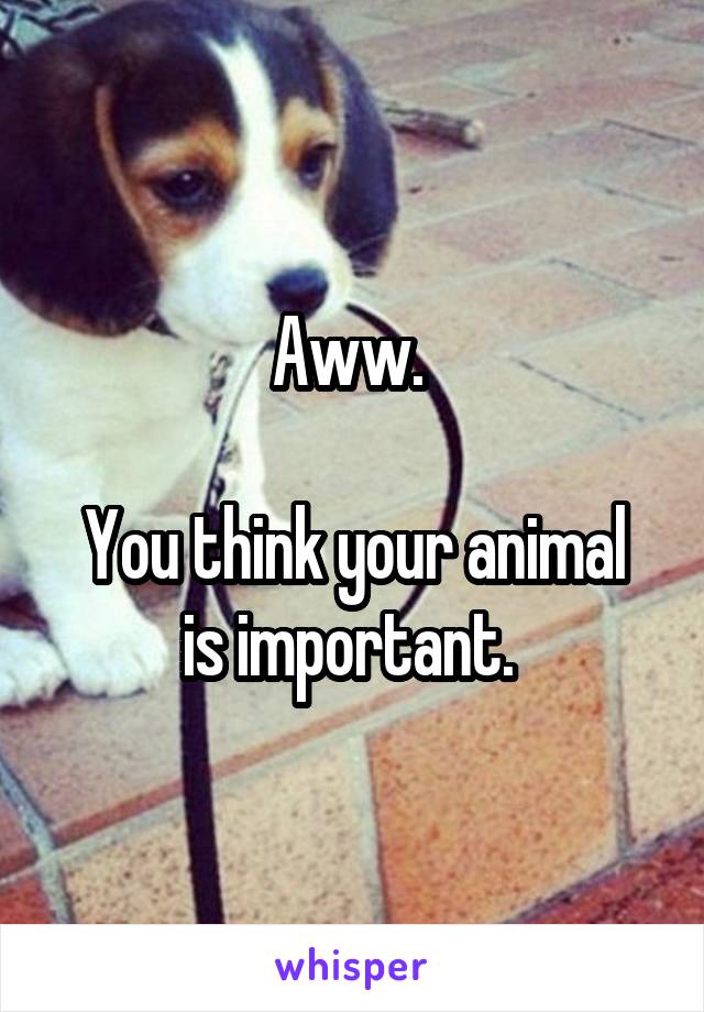 Aww. 

You think your animal is important. 