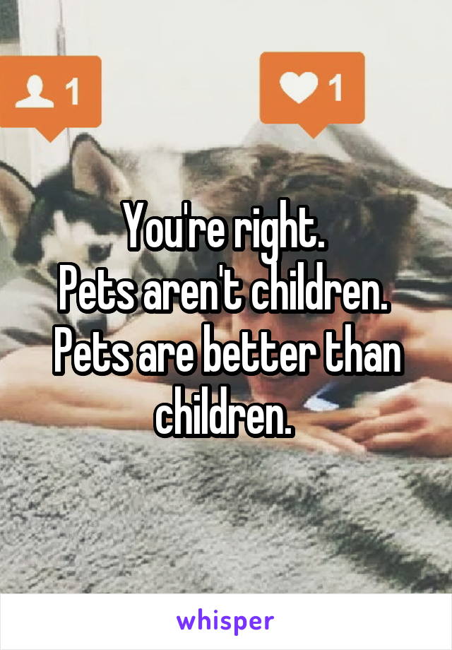 You're right. 
Pets aren't children. 
Pets are better than children. 