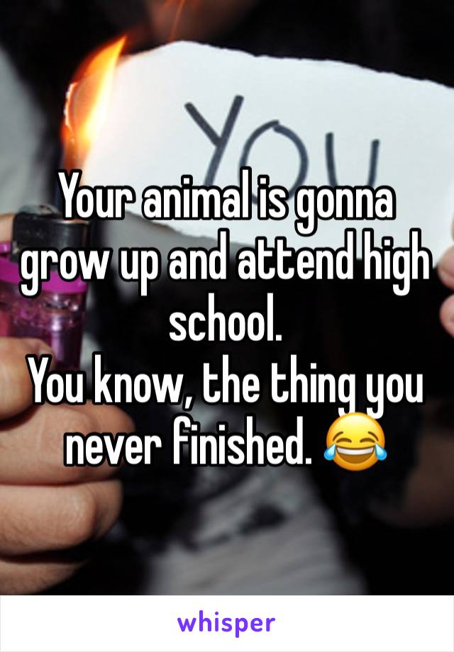 Your animal is gonna grow up and attend high school. 
You know, the thing you never finished. 😂