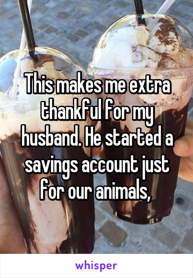 This makes me extra thankful for my husband. He started a savings account just for our animals, 