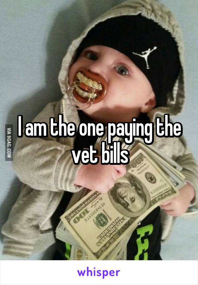 I am the one paying the vet bills