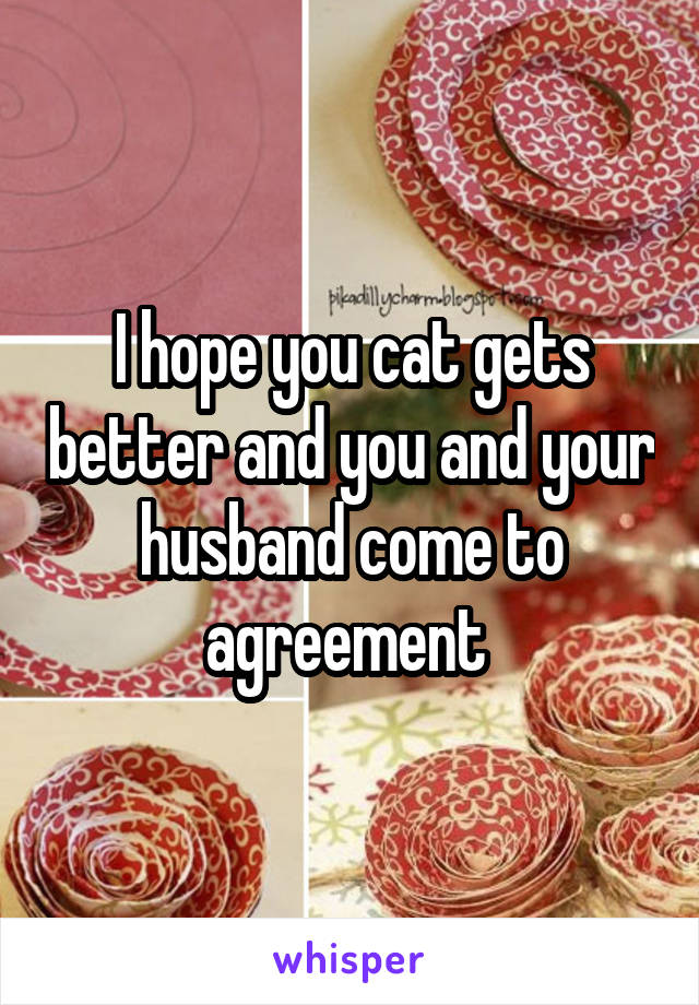 I hope you cat gets better and you and your husband come to agreement 