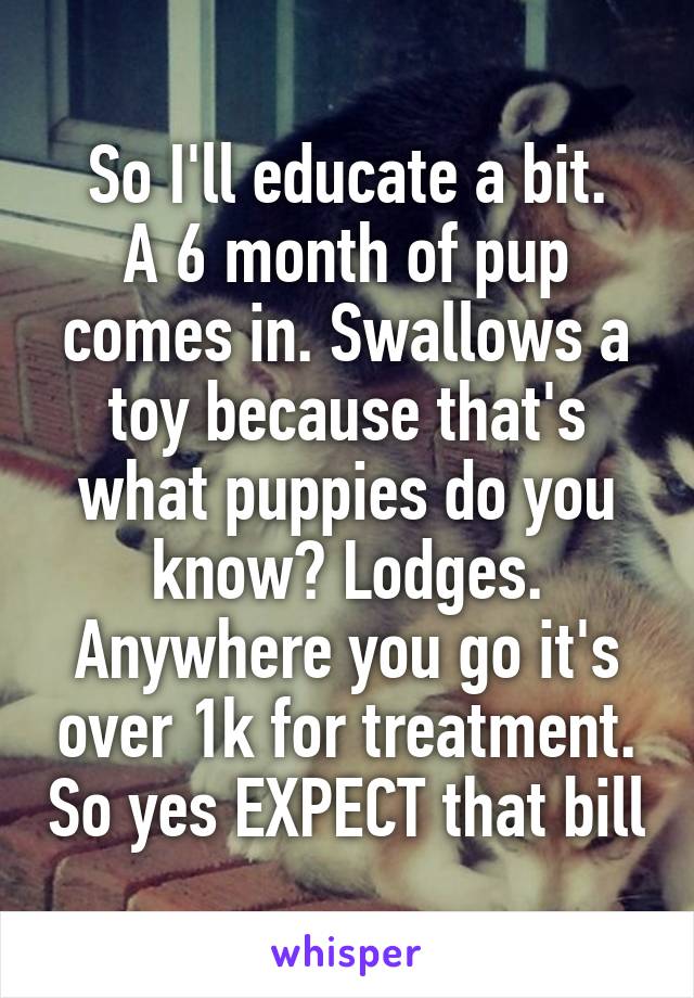 So I'll educate a bit.
A 6 month of pup comes in. Swallows a toy because that's what puppies do you know? Lodges. Anywhere you go it's over 1k for treatment. So yes EXPECT that bill