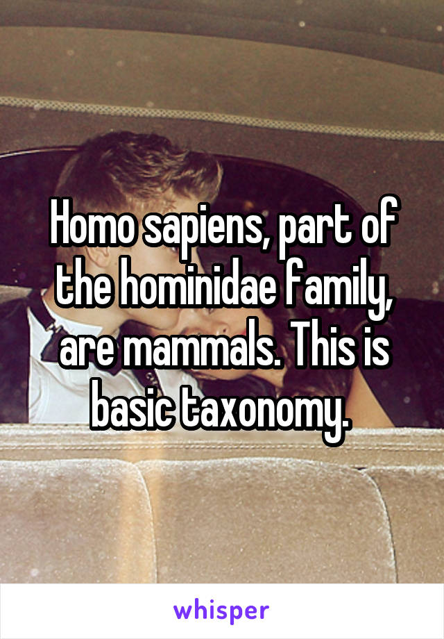 Homo sapiens, part of the hominidae family, are mammals. This is basic taxonomy. 