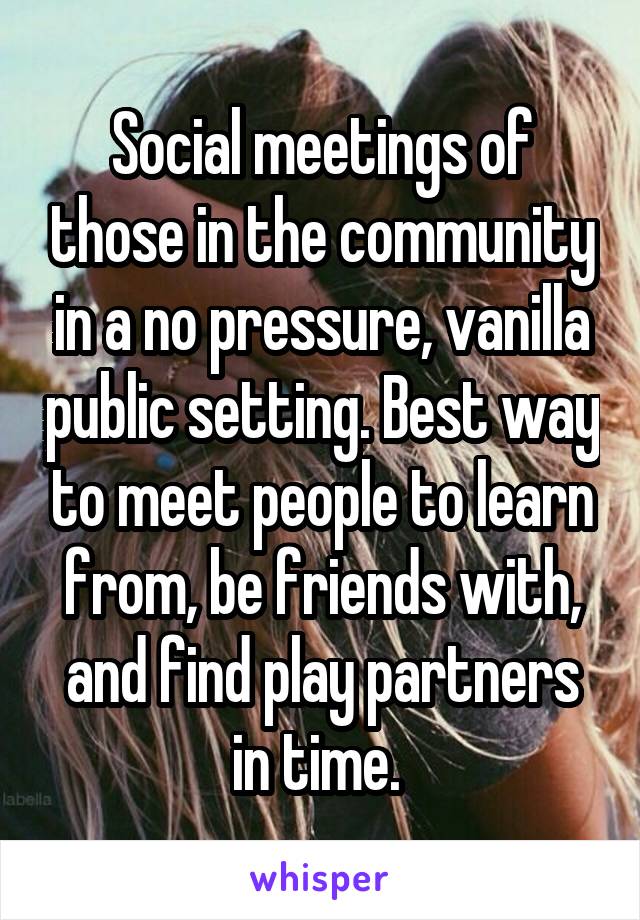 Social meetings of those in the community in a no pressure, vanilla public setting. Best way to meet people to learn from, be friends with, and find play partners in time. 