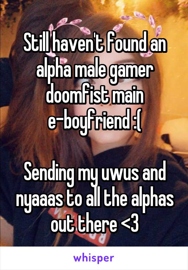 Still haven't found an alpha male gamer doomfist main e-boyfriend :(

Sending my uwus and nyaaas to all the alphas out there <3