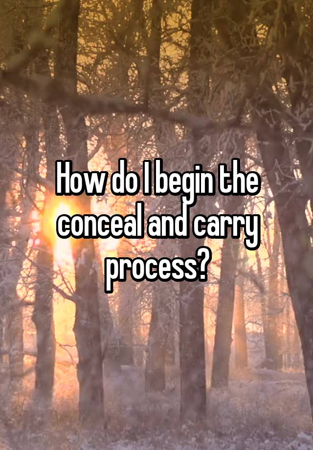 How do I begin the conceal and carry process?