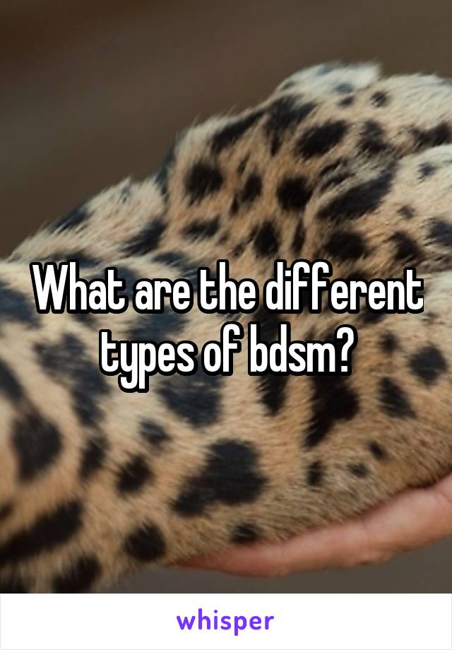 What are the different types of bdsm?