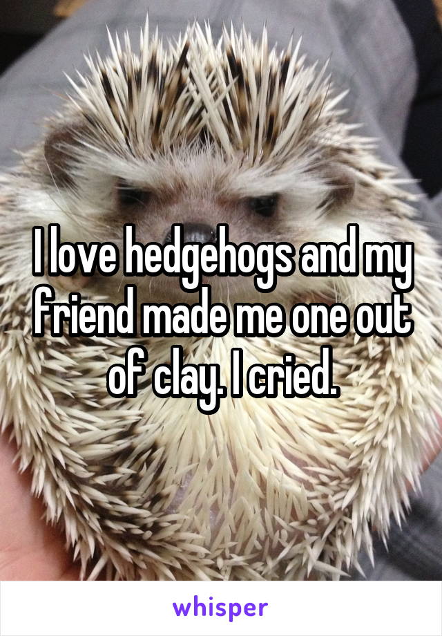 I love hedgehogs and my friend made me one out of clay. I cried.