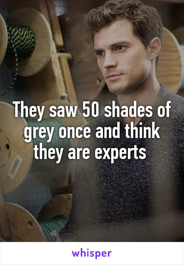 They saw 50 shades of grey once and think they are experts 