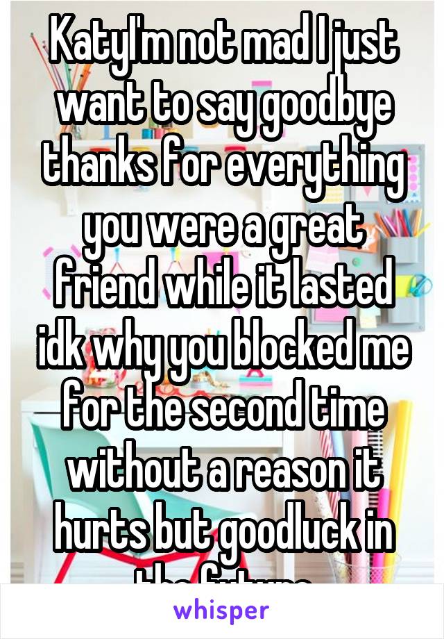 KatyI'm not mad I just want to say goodbye thanks for everything you were a great friend while it lasted idk why you blocked me for the second time without a reason it hurts but goodluck in the future