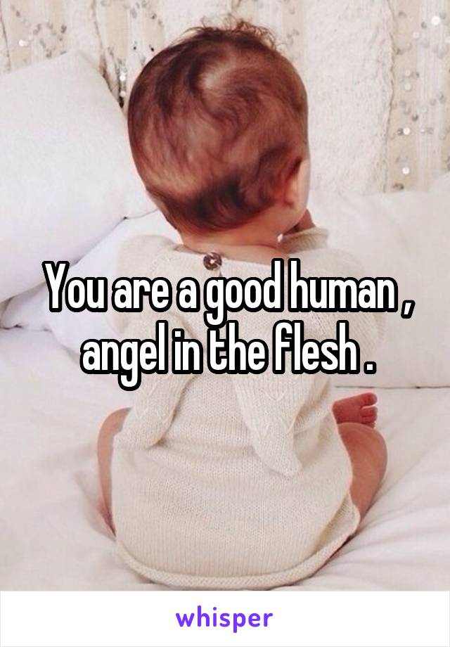 You are a good human , angel in the flesh .