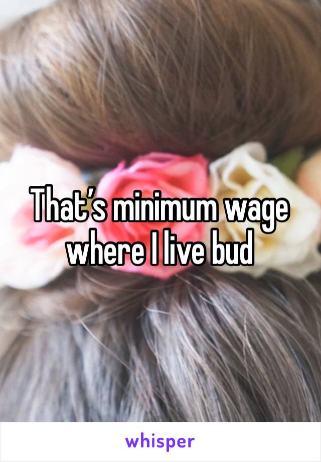 That’s minimum wage where I live bud 