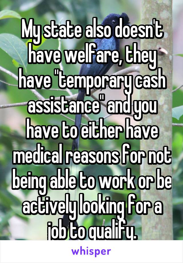 My state also doesn't have welfare, they have "temporary cash assistance" and you have to either have medical reasons for not being able to work or be actively looking for a job to qualify.