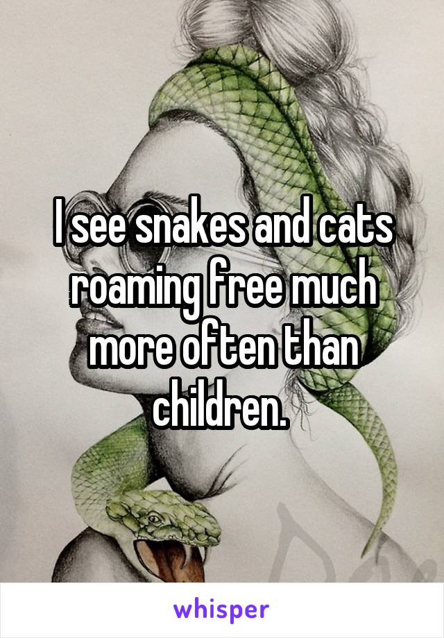 I see snakes and cats roaming free much more often than children. 