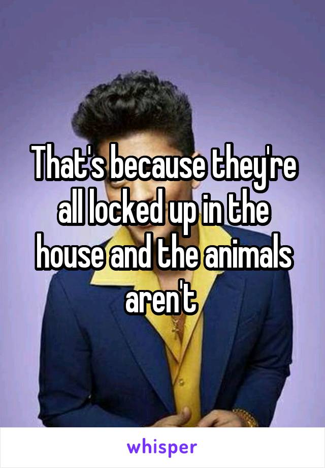 That's because they're all locked up in the house and the animals aren't 