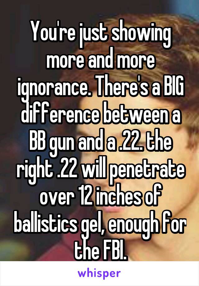 You're just showing more and more ignorance. There's a BIG difference between a BB gun and a .22. the right .22 will penetrate over 12 inches of ballistics gel, enough for the FBI.