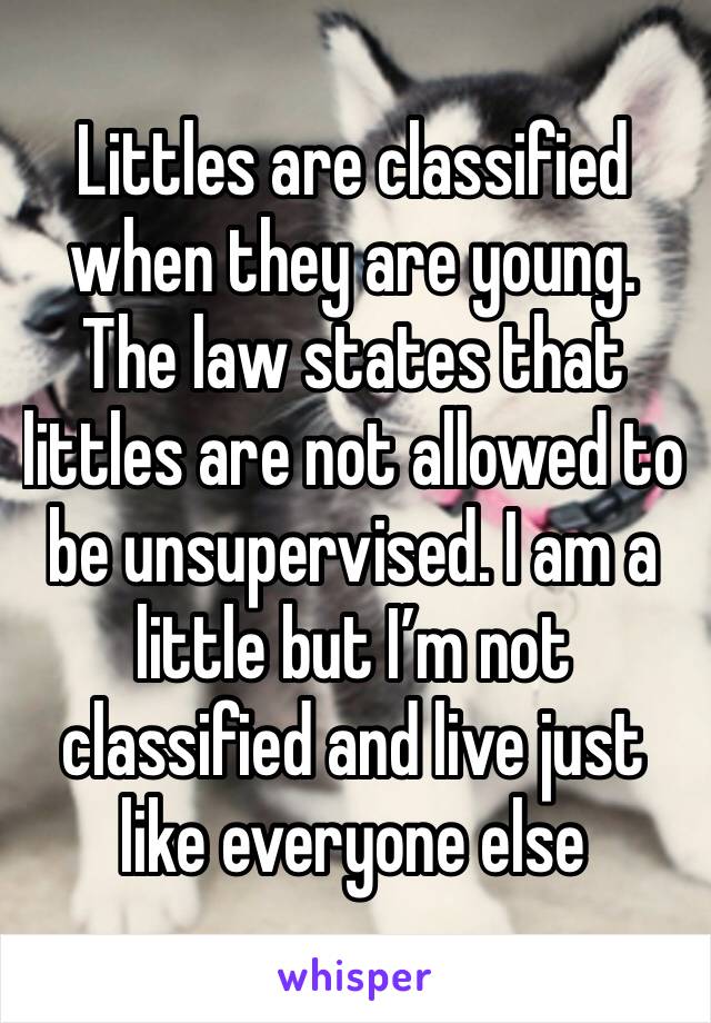 Littles are classified when they are young. The law states that littles are not allowed to be unsupervised. I am a little but I’m not classified and live just like everyone else