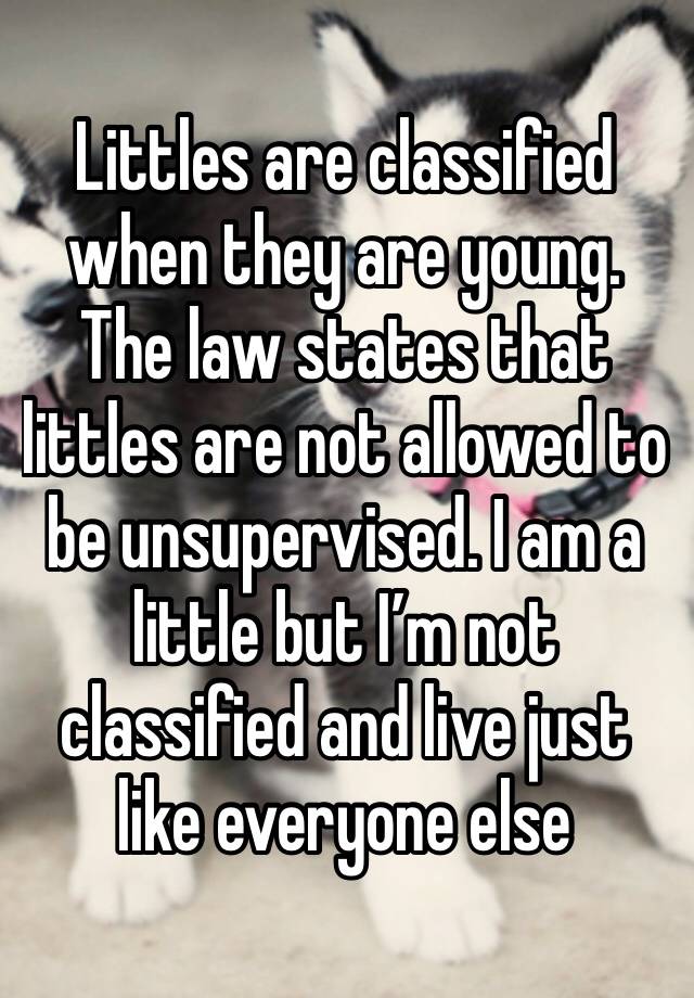 Littles are classified when they are young. The law states that littles are not allowed to be unsupervised. I am a little but I’m not classified and live just like everyone else