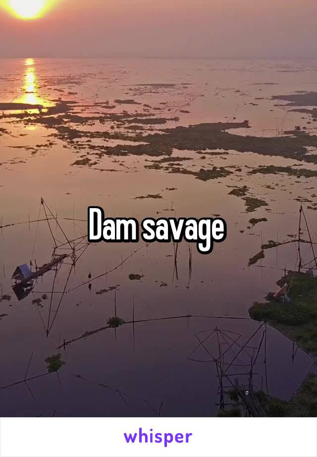 Dam savage 