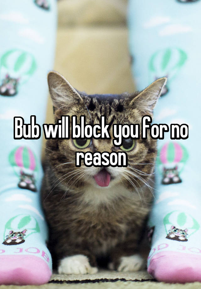 Bub will block you for no reason