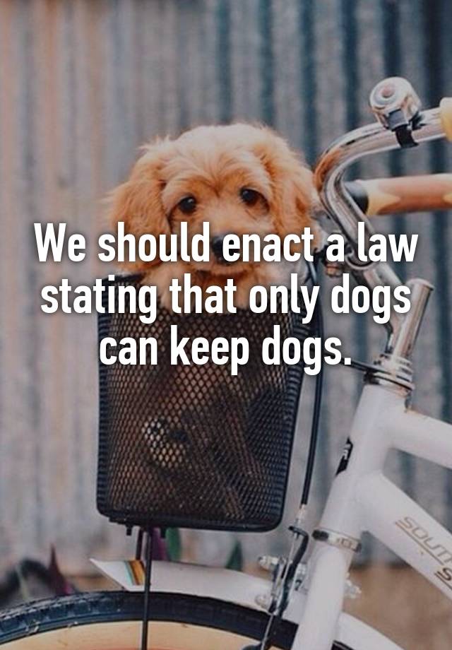 We should enact a law stating that only dogs can keep dogs.
