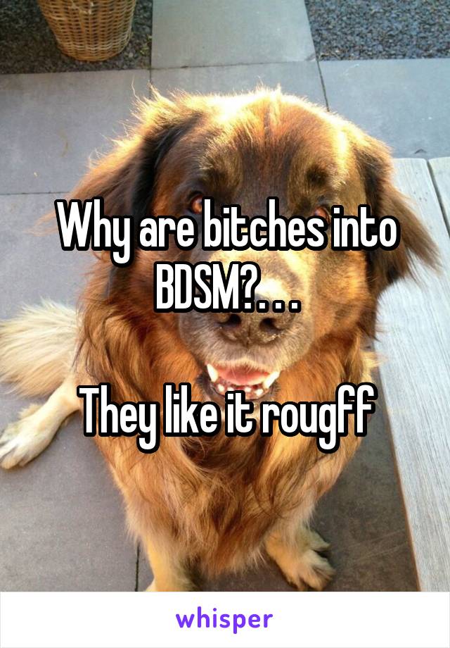 Why are bitches into BDSM?. . .

They like it rougff