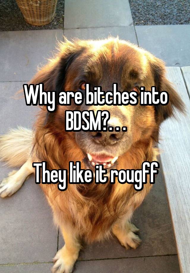 Why are bitches into BDSM?. . .

They like it rougff