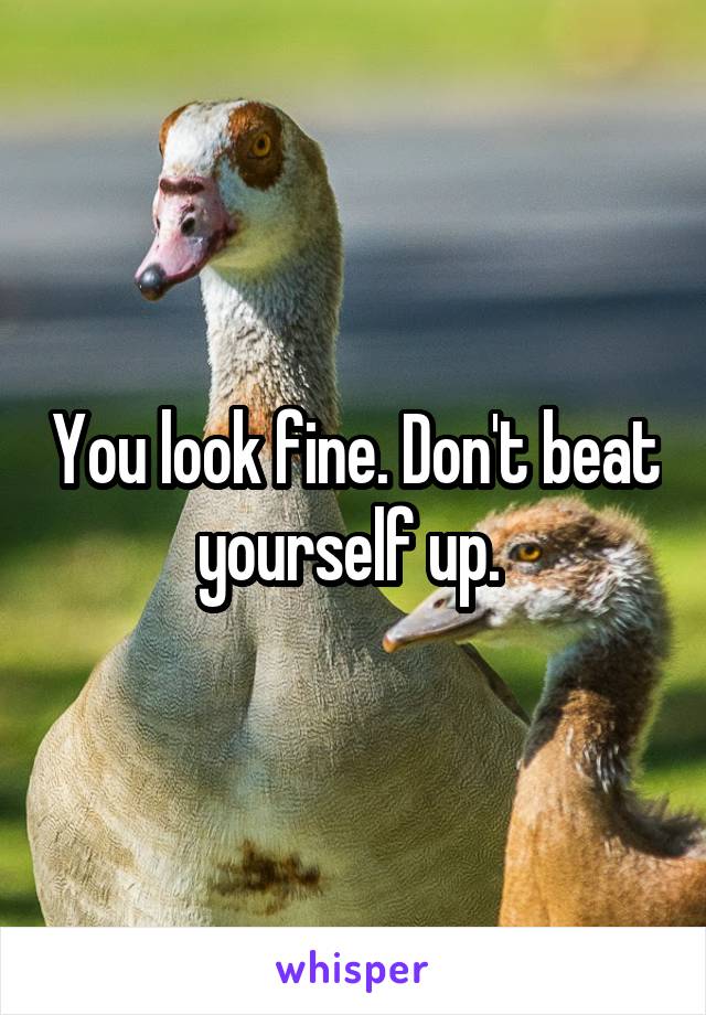 You look fine. Don't beat yourself up. 