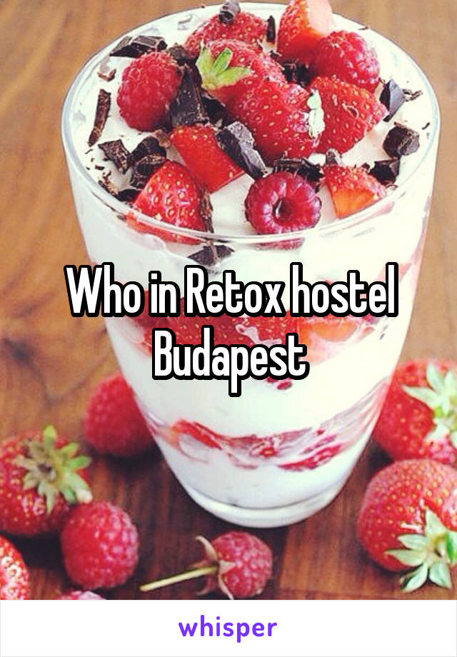 Who in Retox hostel Budapest