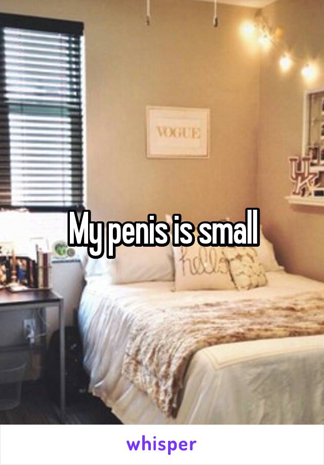 My penis is small