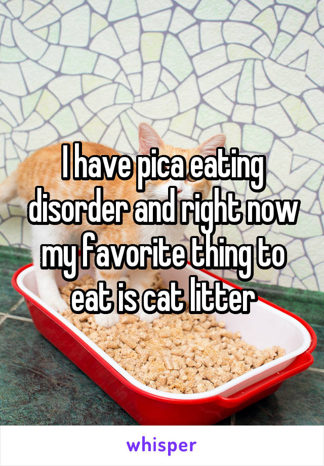 I have pica eating disorder and right now my favorite thing to eat is cat litter