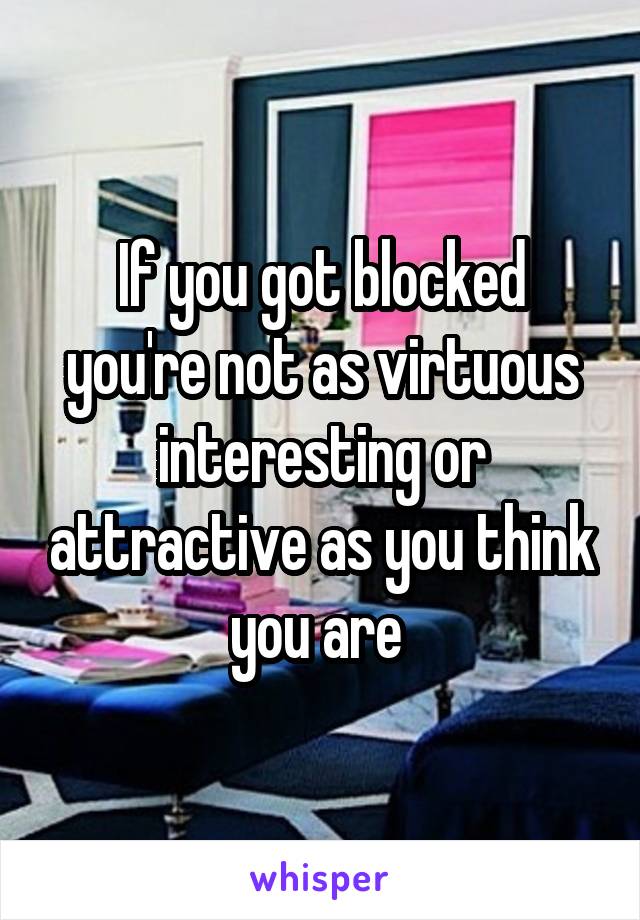 If you got blocked you're not as virtuous interesting or attractive as you think you are 