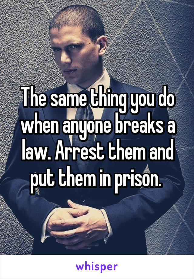 The same thing you do when anyone breaks a law. Arrest them and put them in prison. 