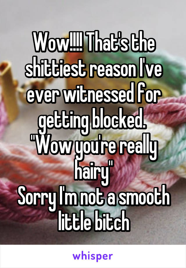 Wow!!!! That's the shittiest reason I've ever witnessed for getting blocked. 
"Wow you're really hairy"
Sorry I'm not a smooth little bitch