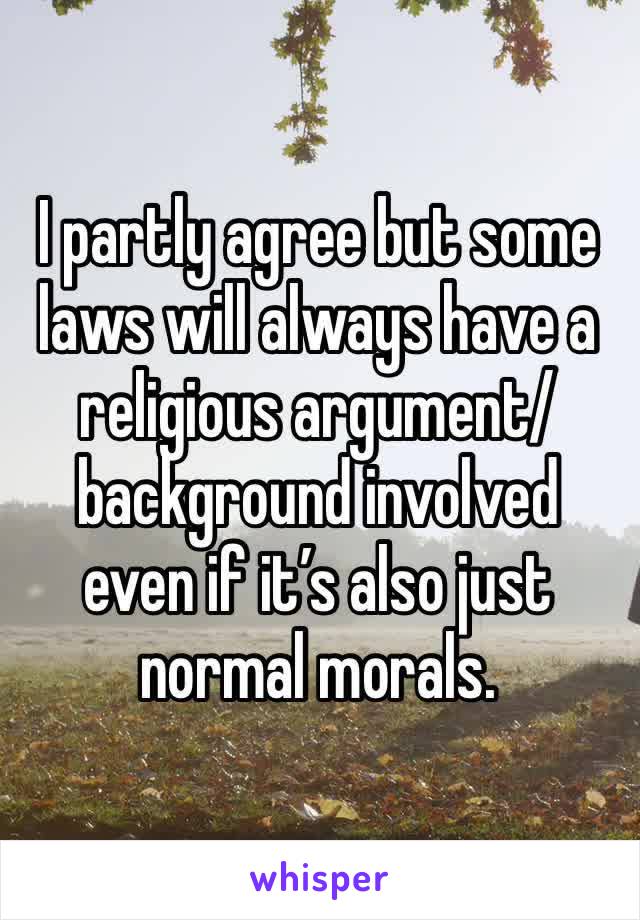 I partly agree but some laws will always have a religious argument/ background involved even if it’s also just normal morals. 