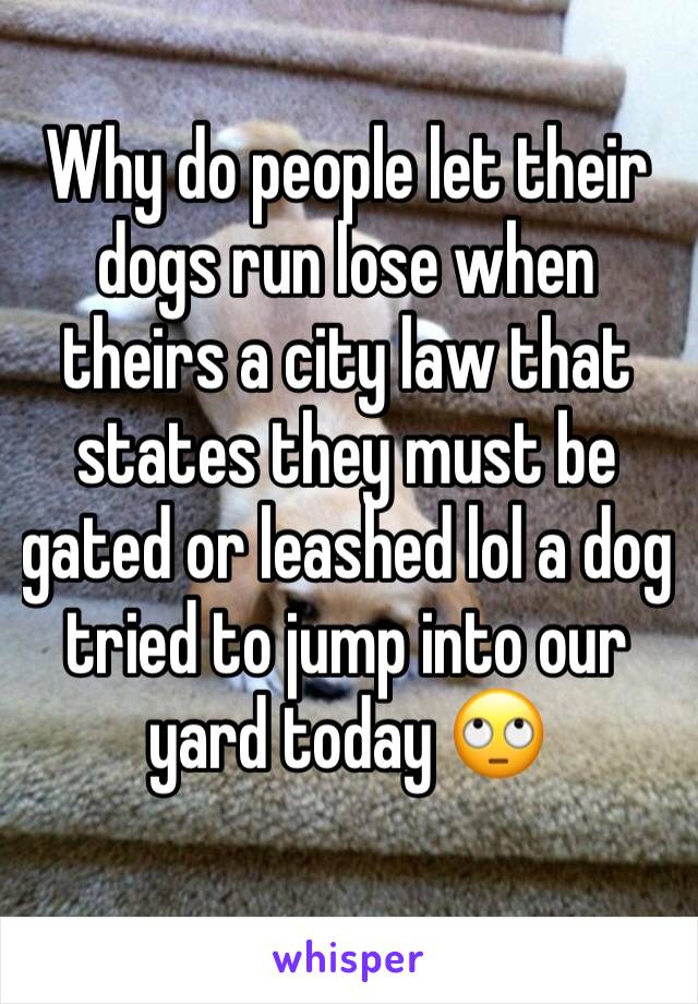 Why do people let their dogs run lose when theirs a city law that states they must be gated or leashed lol a dog tried to jump into our yard today 🙄