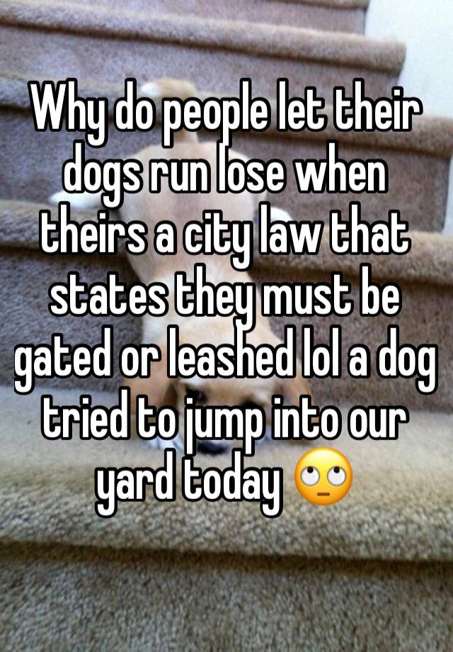 Why do people let their dogs run lose when theirs a city law that states they must be gated or leashed lol a dog tried to jump into our yard today 🙄