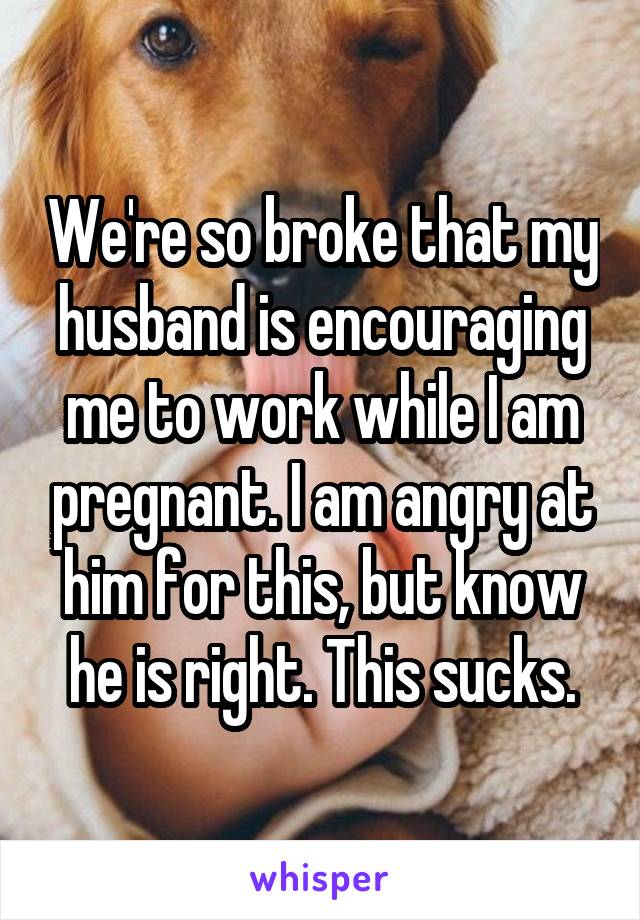 We're so broke that my husband is encouraging me to work while I am pregnant. I am angry at him for this, but know he is right. This sucks.