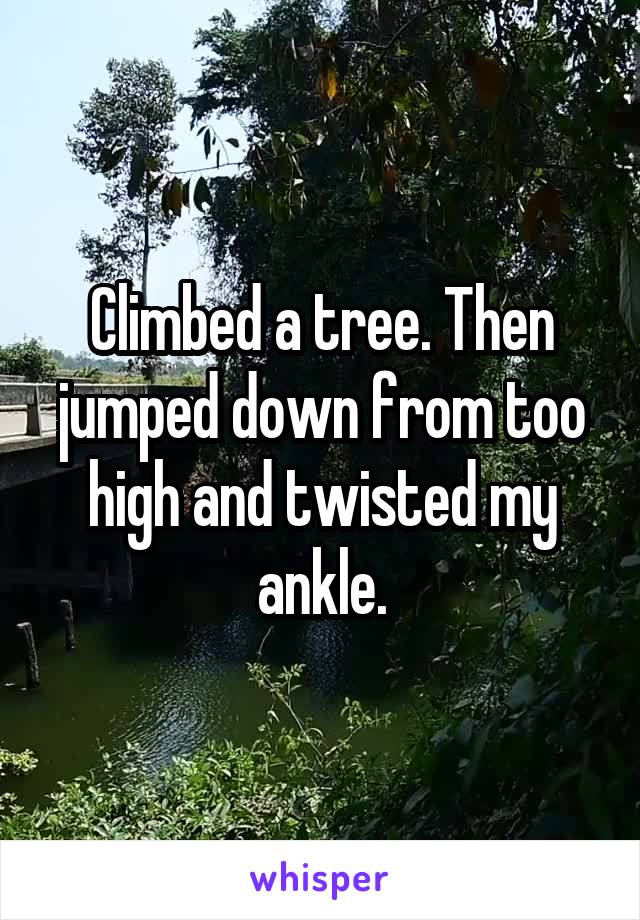 Climbed a tree. Then jumped down from too high and twisted my ankle.