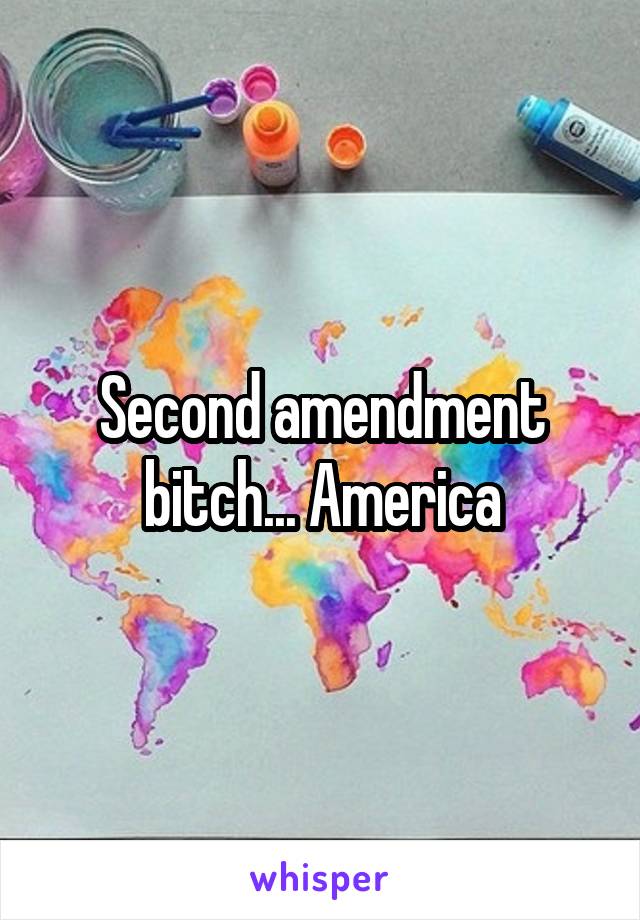 Second amendment bitch... America