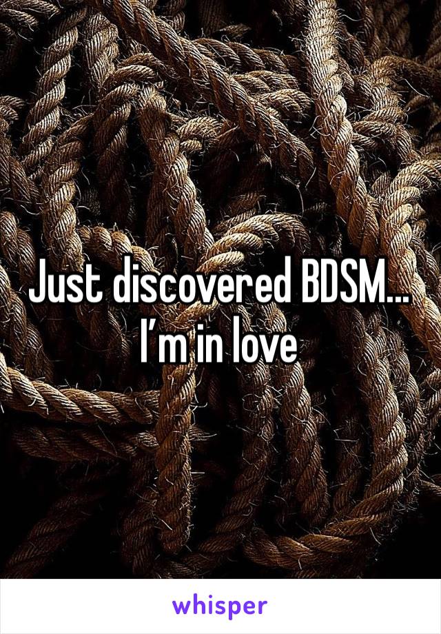 Just discovered BDSM... I’m in love 