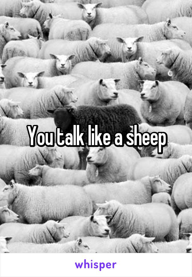 You talk like a sheep