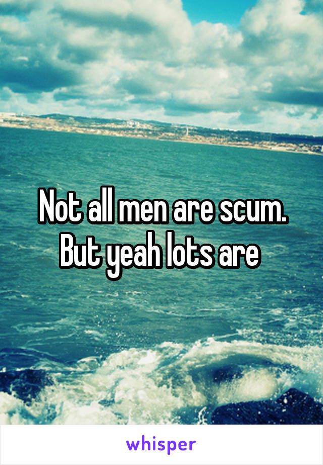 Not all men are scum. But yeah lots are 