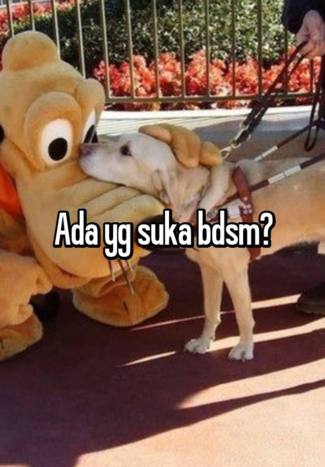 Ada yg suka bdsm?