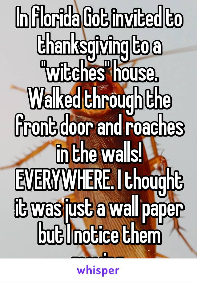 In florida Got invited to thanksgiving to a "witches" house. Walked through the front door and roaches in the walls! EVERYWHERE. I thought it was just a wall paper but I notice them moving.